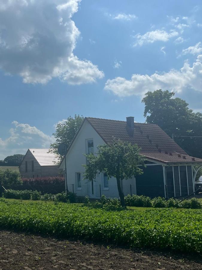 Ferienhaus Muschel Kalkhorst エクステリア 写真